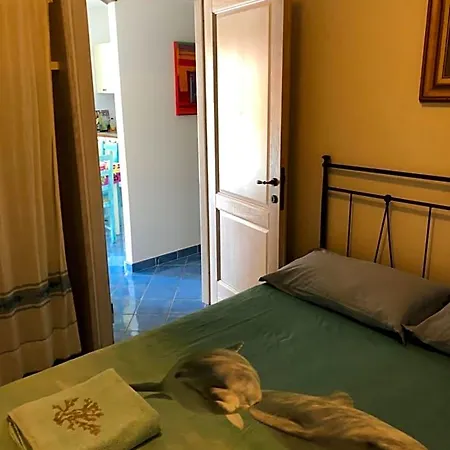 Bed & Breakfast Tiffany Palau